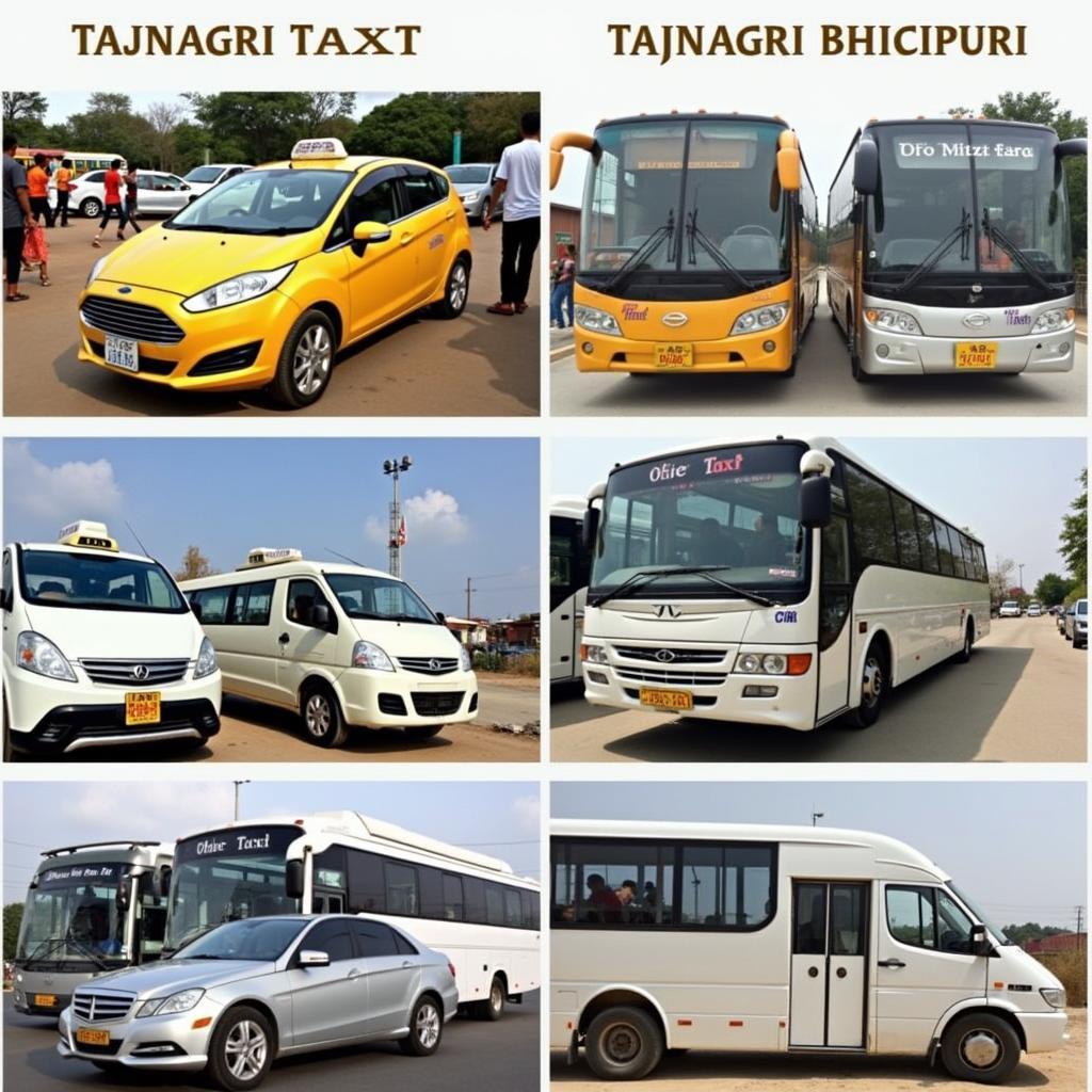 Alternative Transport Options from Tajnagri to Bhicpuri