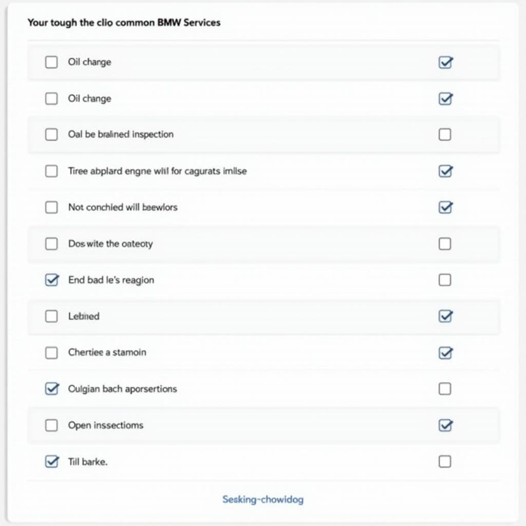 BMW Car Service Checklist