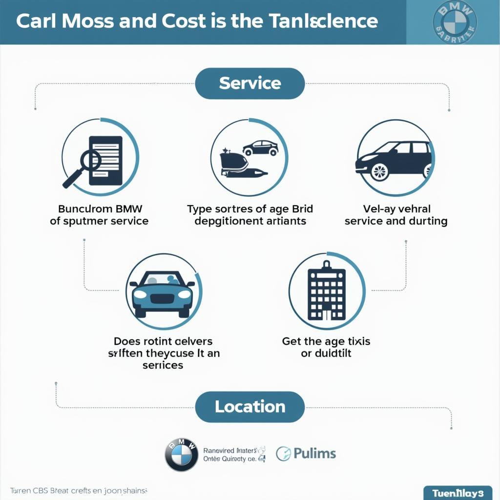 BMW Car Service Cost Factors