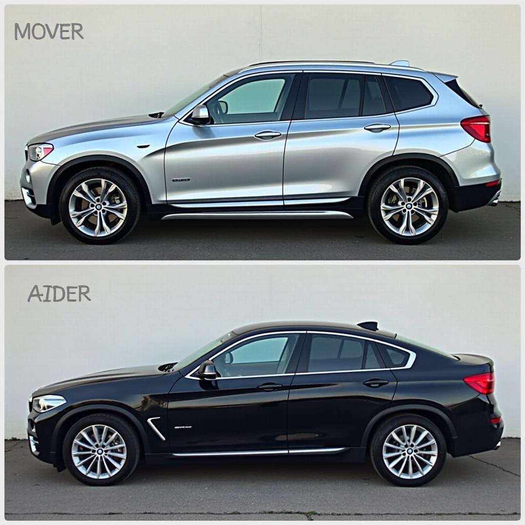 BMW Model and Service Cost