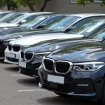 BMW Rental Fleet