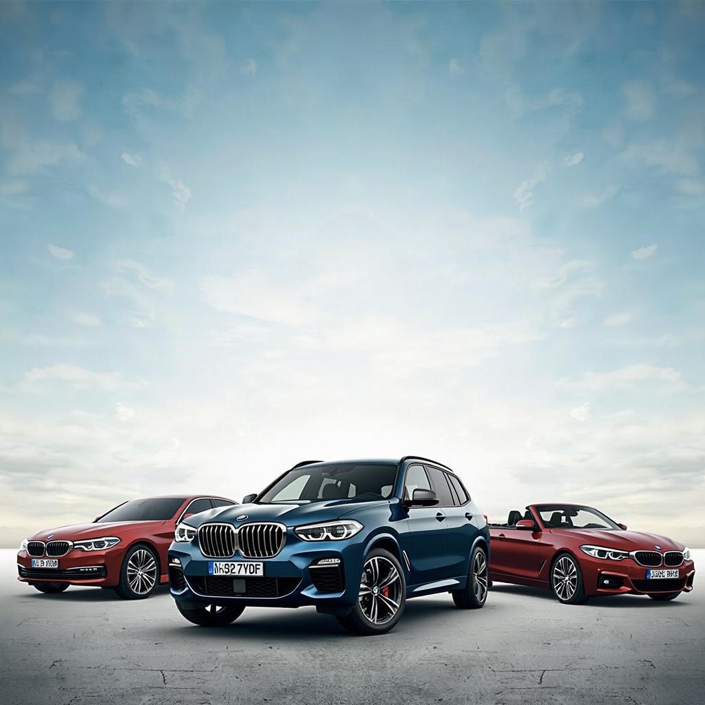 Variety of BMW Rental Models