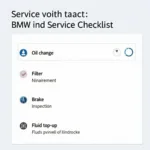 BMW Service Checklist