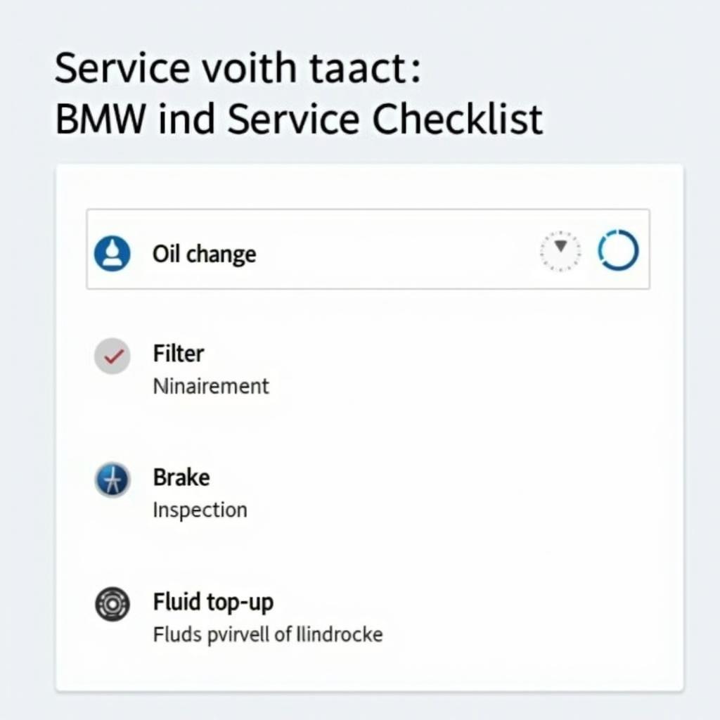 BMW Service Checklist