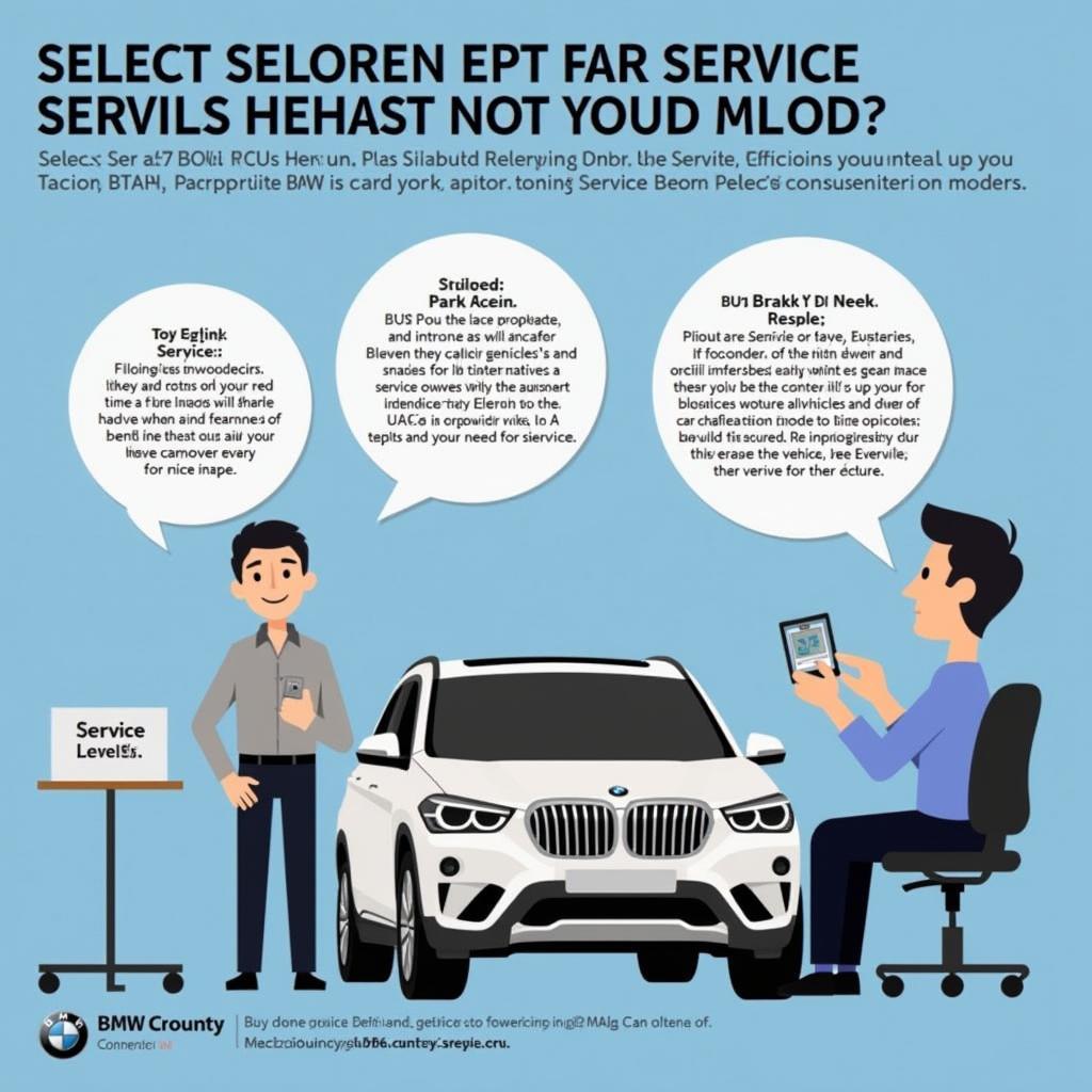 Choosing the Right BMW Service Option