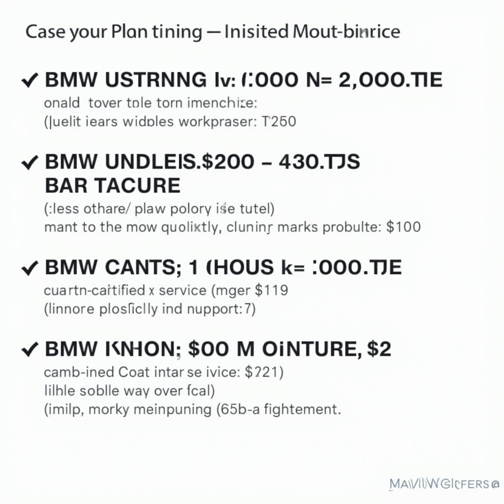 BMW Service Plans