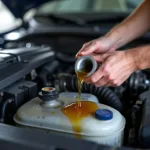 Car Oil Change Service