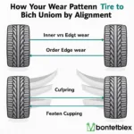 Car Tire Wear Patterns