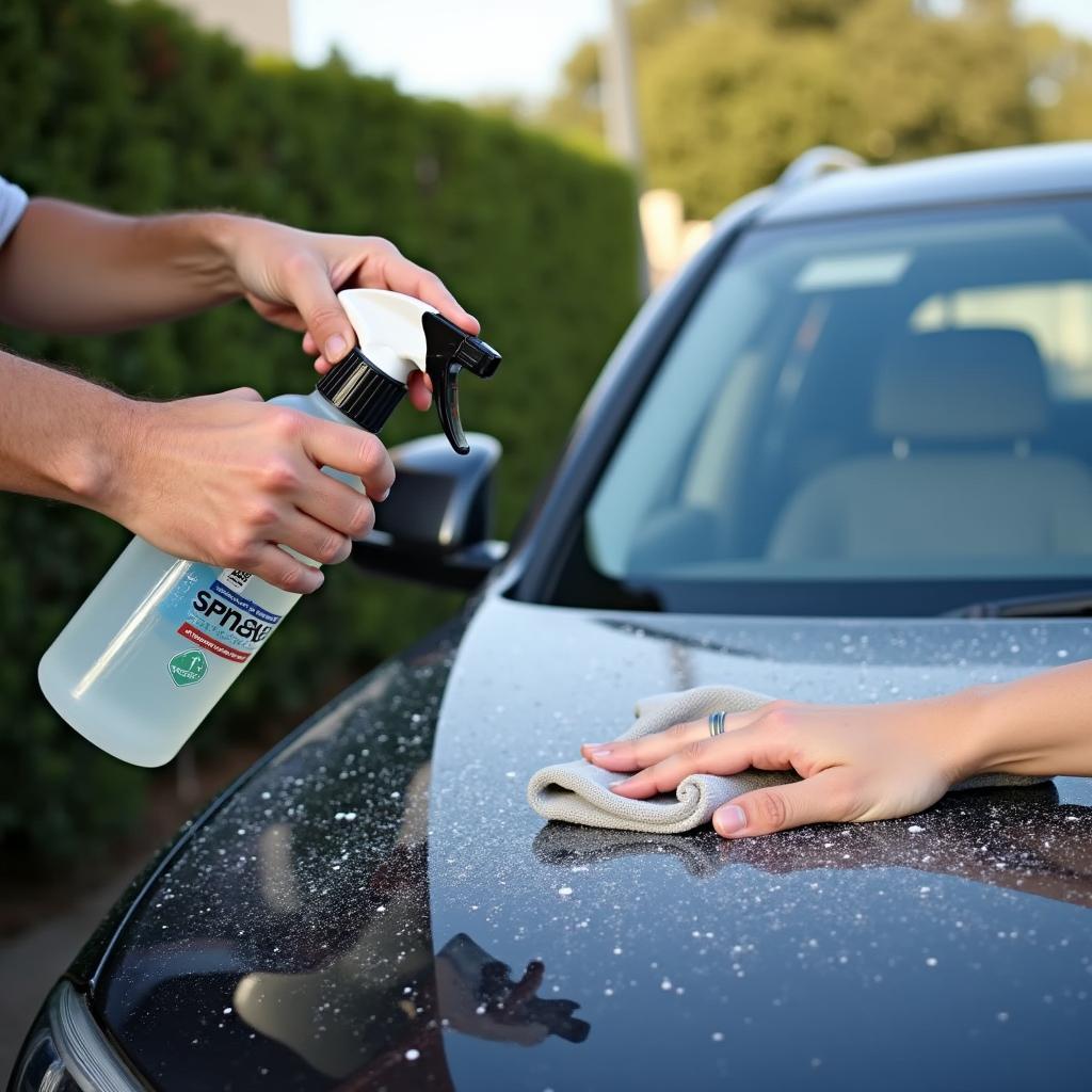 Car Wash Maintenance Tips in Sydney