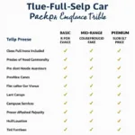 Comparison chart of different full-service car wash packages and their prices