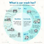 Choosing the Right Car Wash for Your Needs