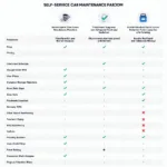 Comparing Self Car Service Features