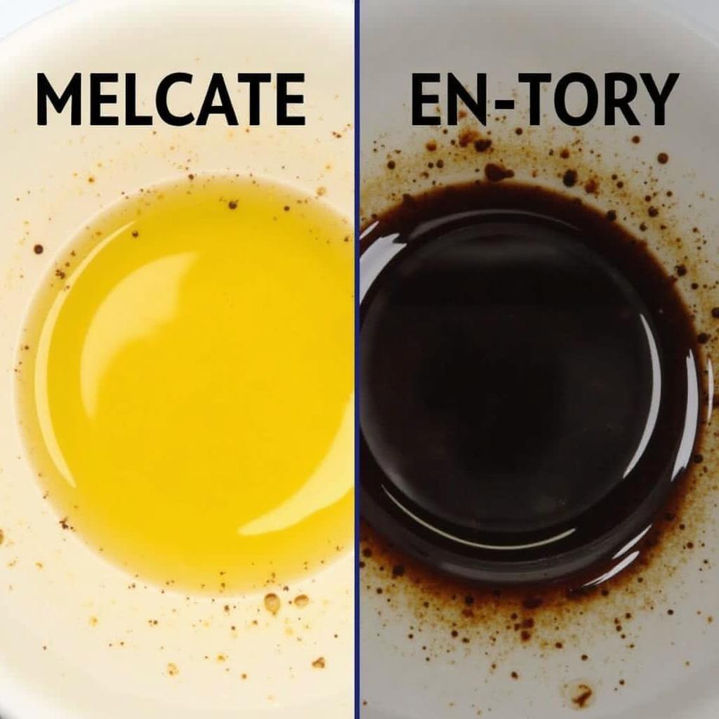 Comparing Clean and Dirty Engine Oil