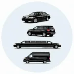 DC Limo and Car Service Options