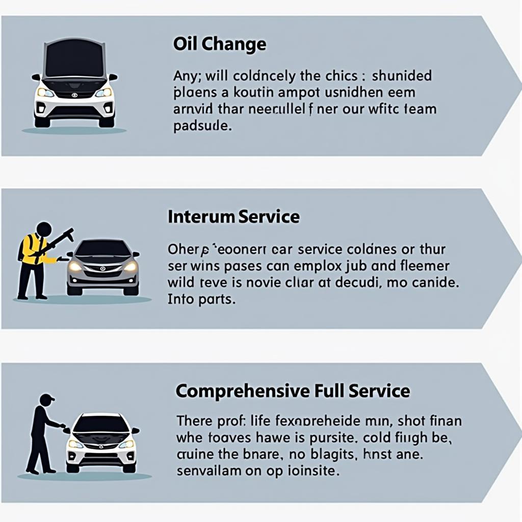 Visual representation of different car service types