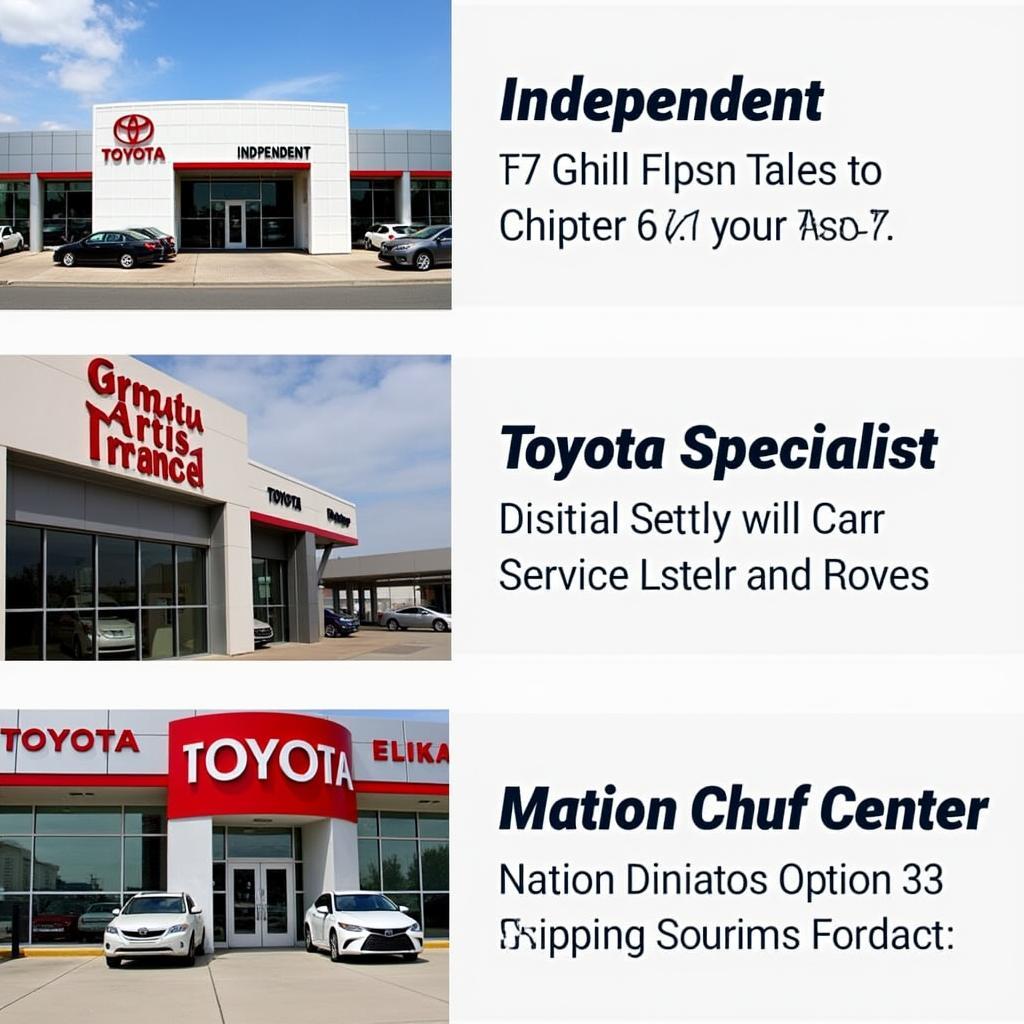 Toyota Service Providers