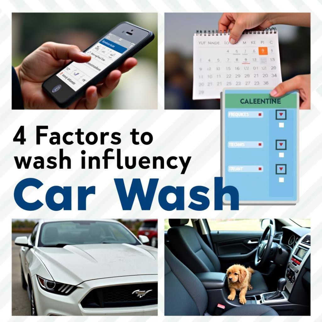 Key Factors to Consider When Choosing a Car Wash in Royapettah