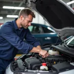 First Car Service: Engine Compartment Check