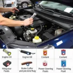 Checking Fluid Levels During a Basic Car Service