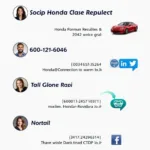 Honda USA Customer Service Contact Channels