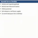 Hyundai Santro Service Checklist