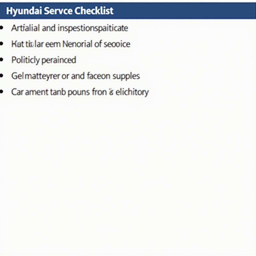 Hyundai Santro Service Checklist