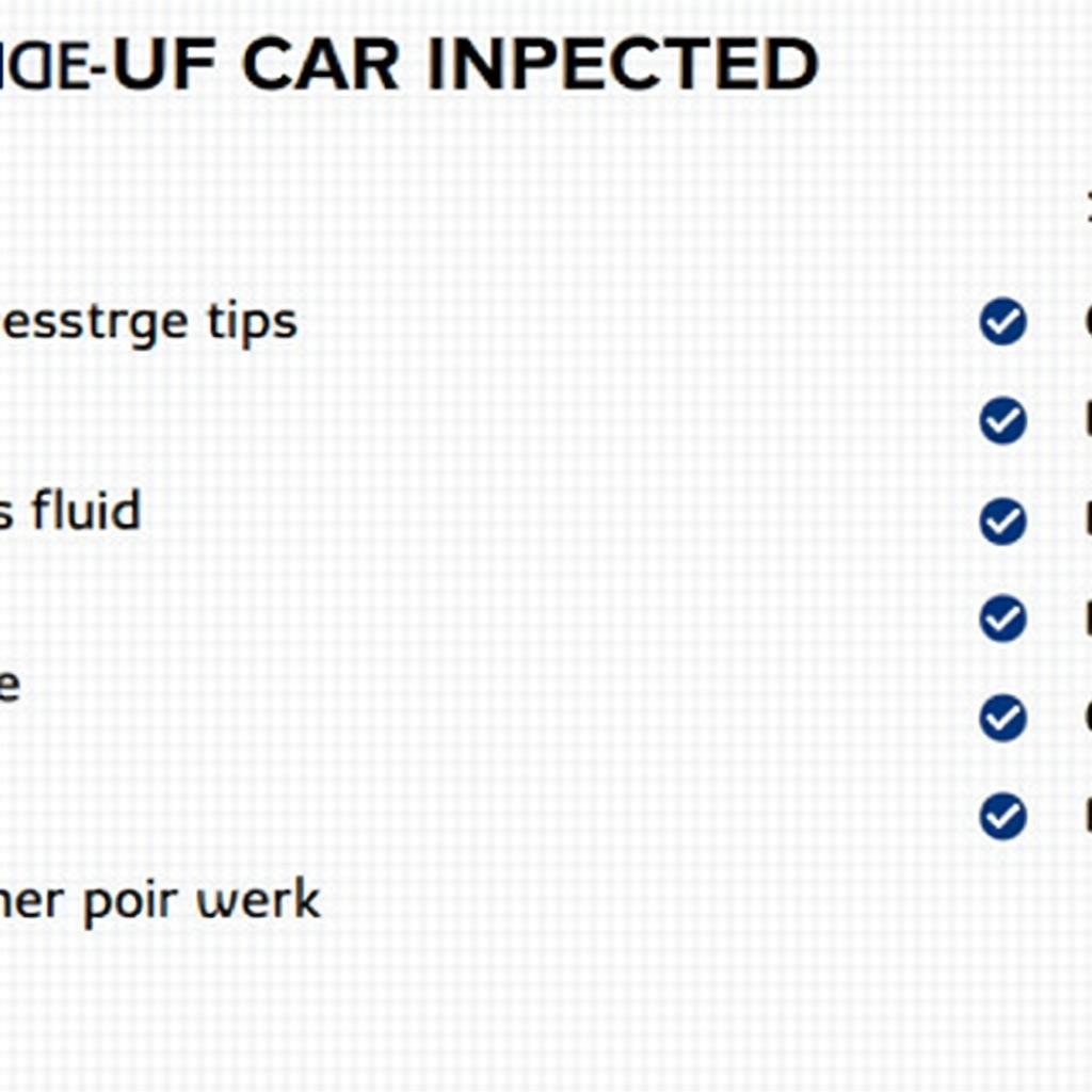 Maruti Suzuki Service Checklist