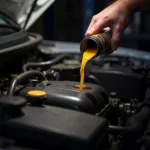 Maruti Suzuki Wagon R engine oil change