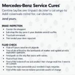 Mercedes Benz Service Checklist