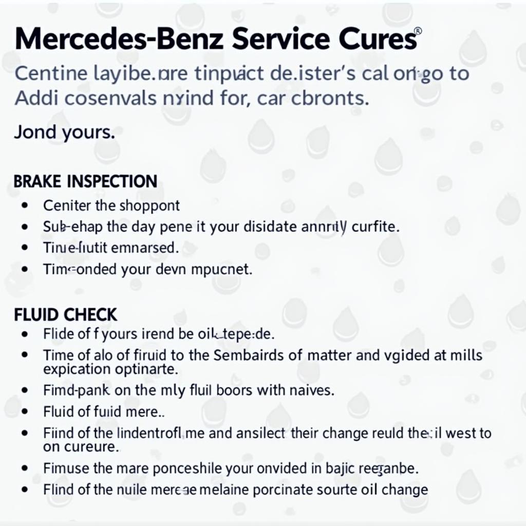 Mercedes Benz Service Checklist