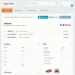 User browsing car rental options online