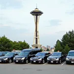 Seattle Black Car Service Options