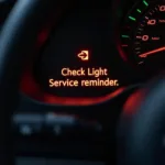 Skoda dashboard displaying service reminder light