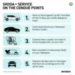 Skoda Service Checklist