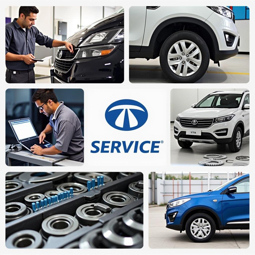 Tata Authorized Service Center Services in Gandhinagar