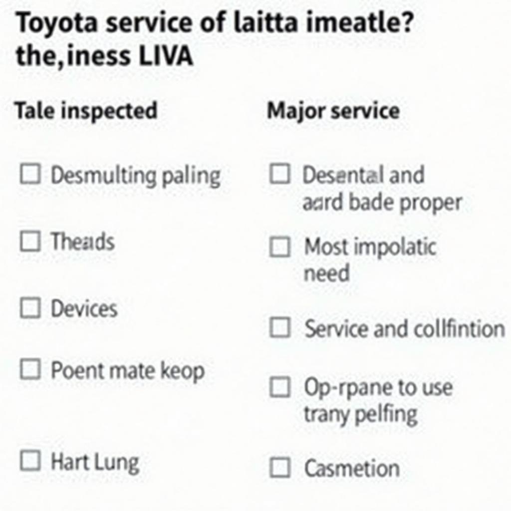 Toyota Liva service checklist example