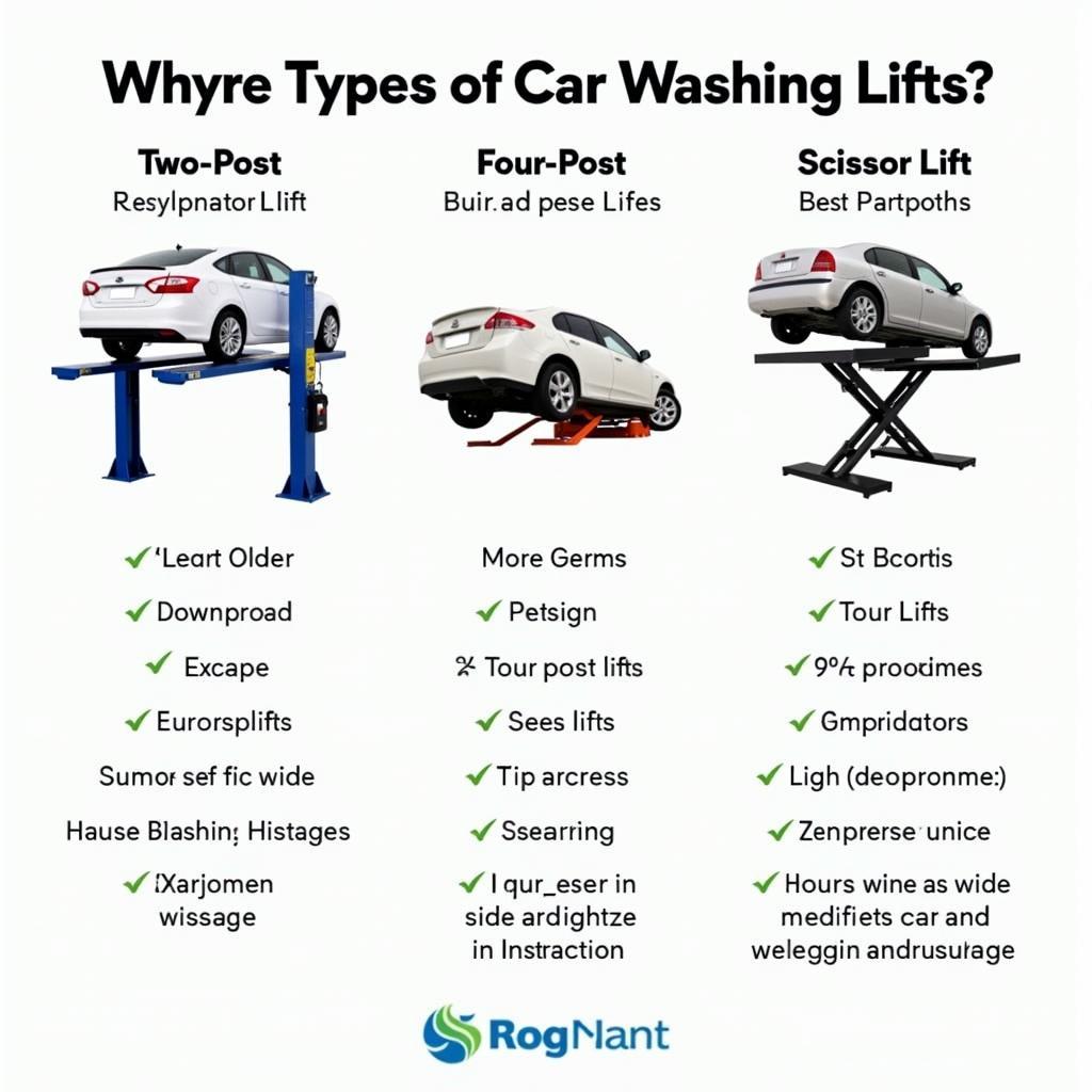 Different Types of Car Washing Lifts Available