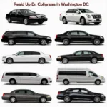 Different Car Service Options in Washington DC