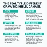 Types of Windshield Damage: Chips, Cracks, and More