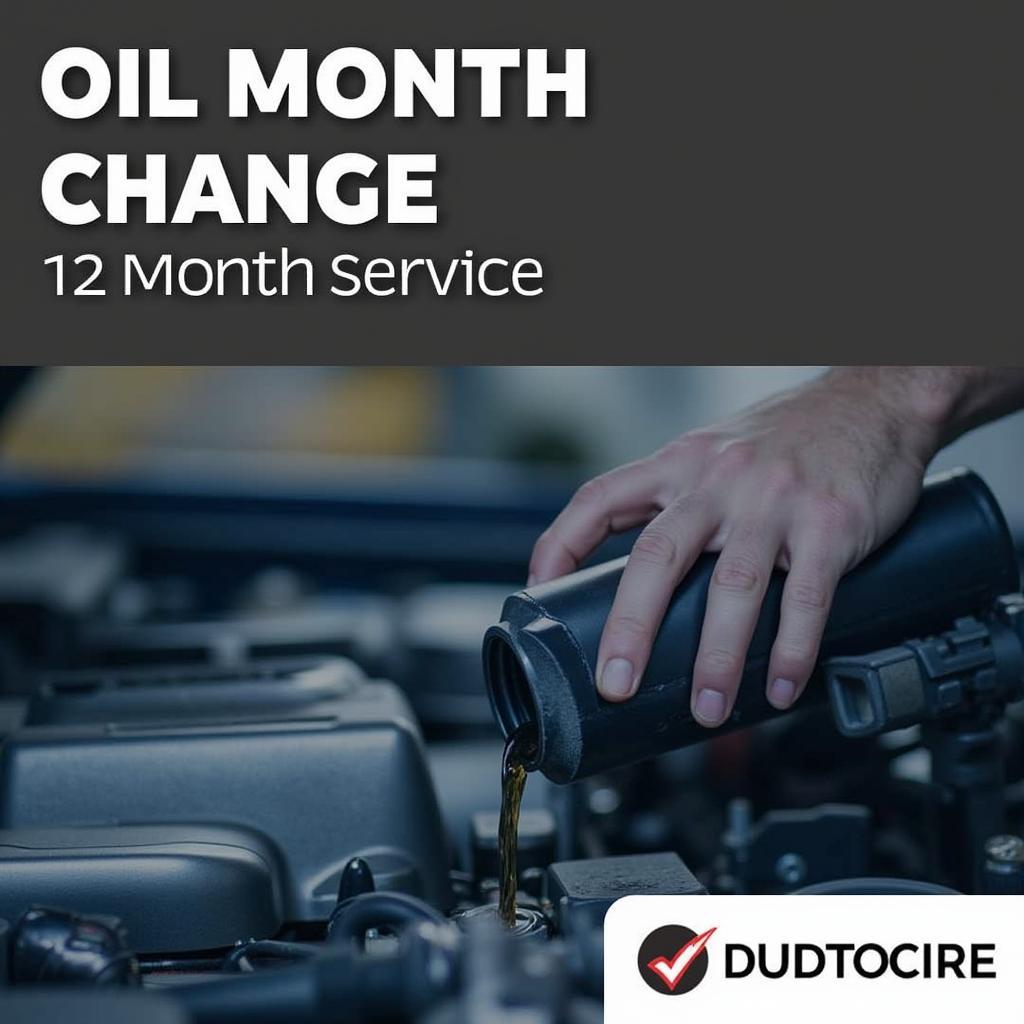 Oil Change During a 12-Month Car Service