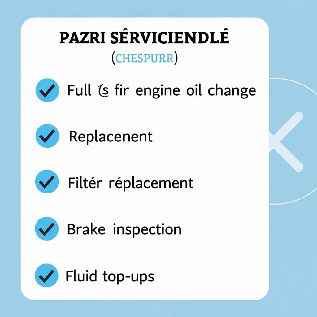 Maruti Alto 800 Full Service Checklist