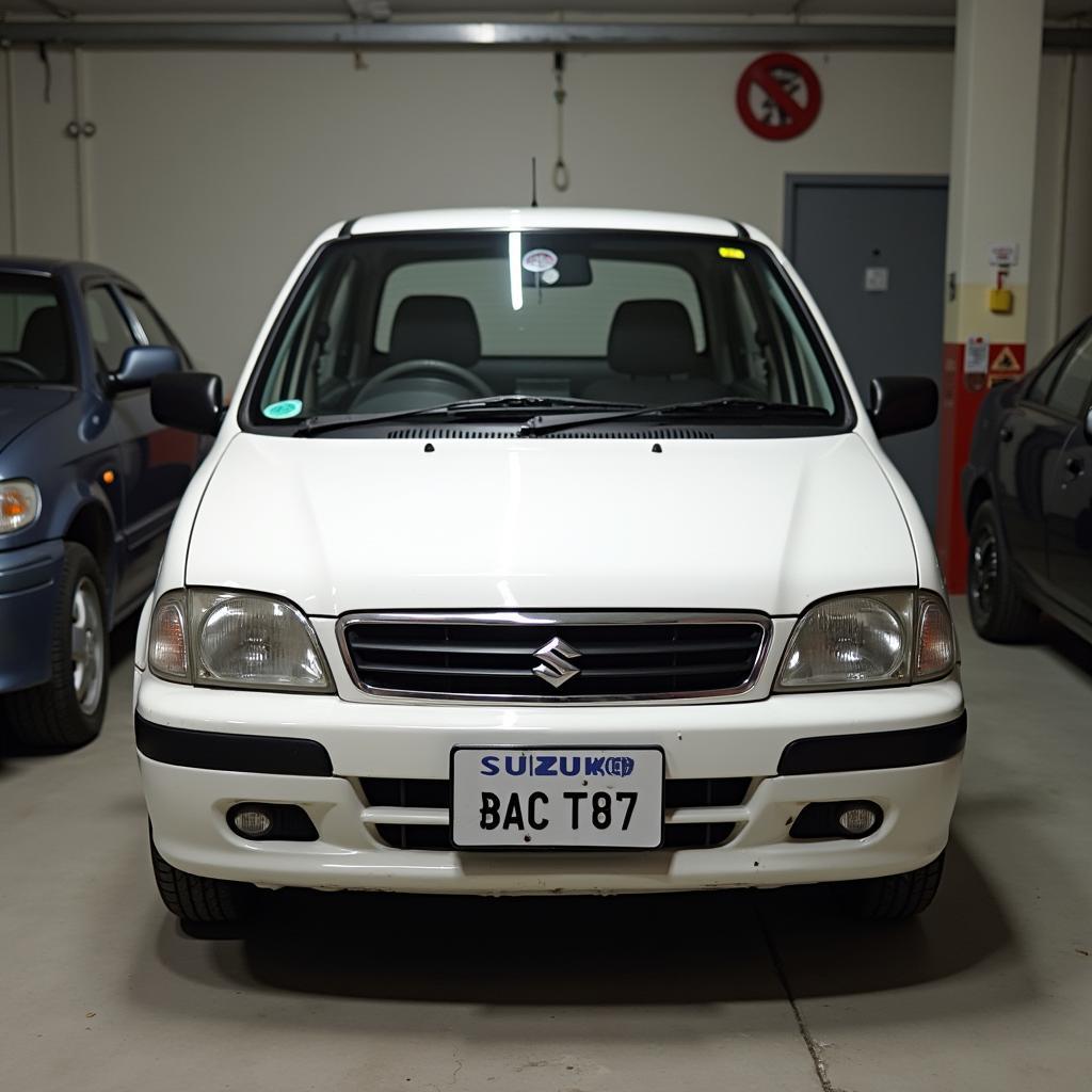 Alto 800 Regular Maintenance