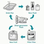 Automatic Transmission Fluid Change Process