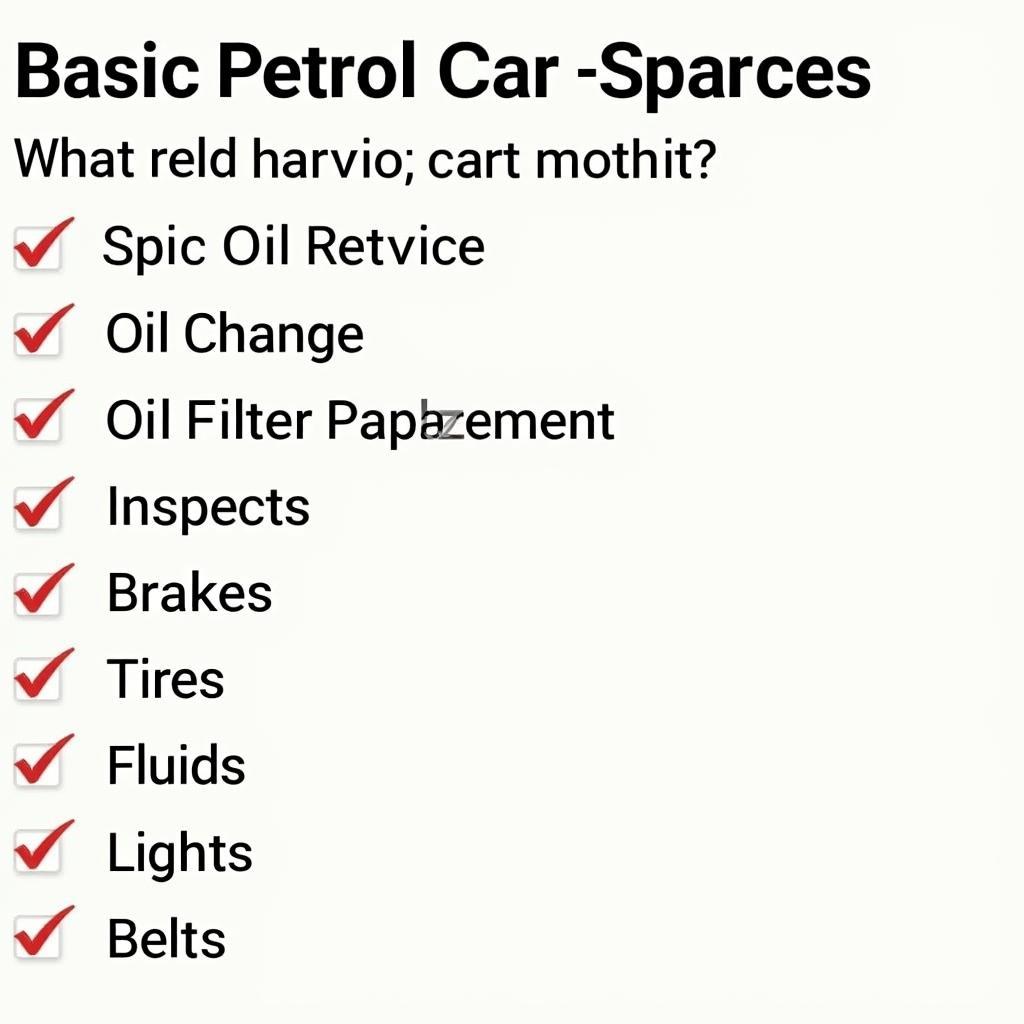 Basic Petrol Car Service Checklist