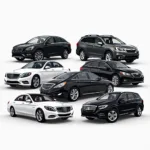 Bay Ridge Car Service Fleet Options