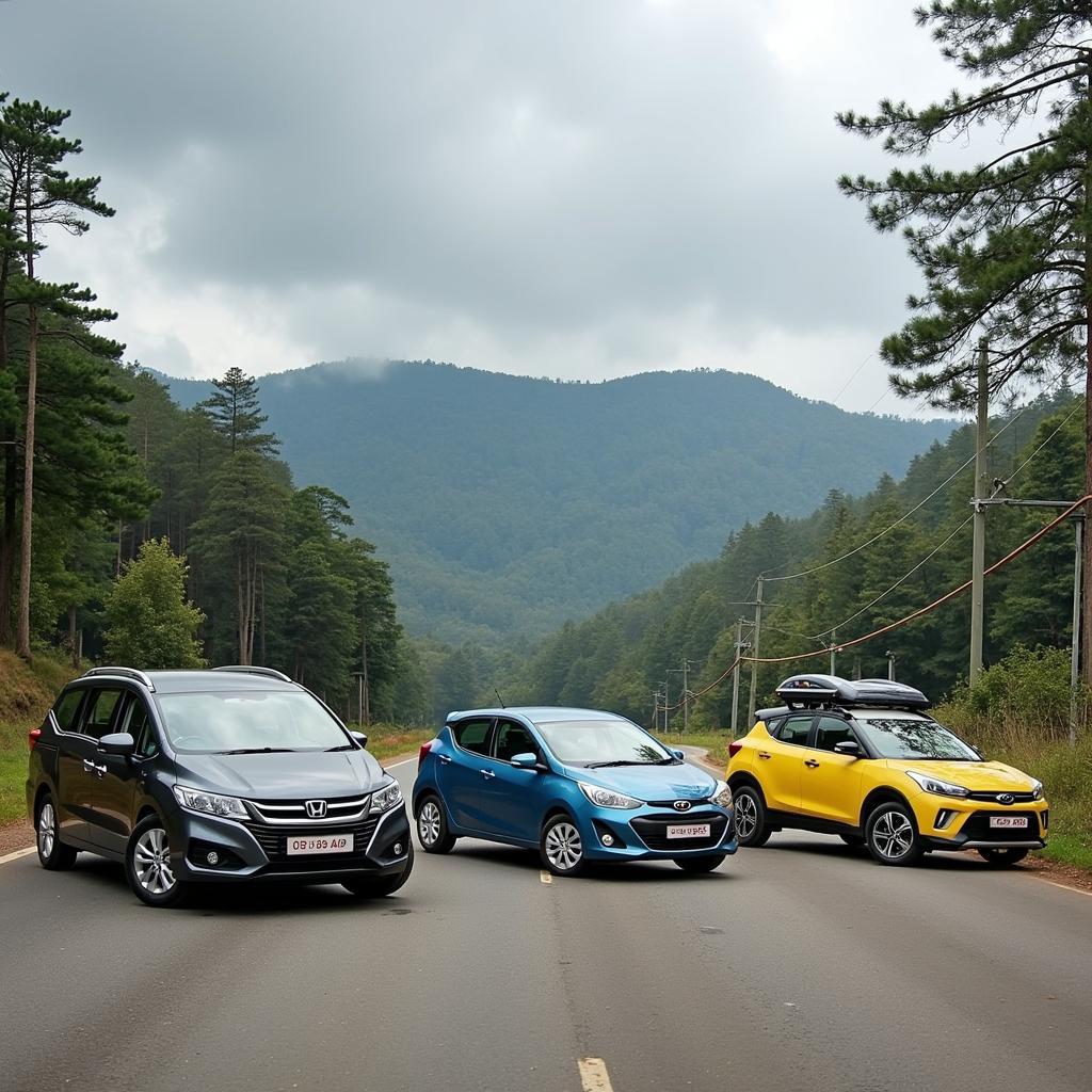 Budget-Friendly Car Rental Options in Ooty