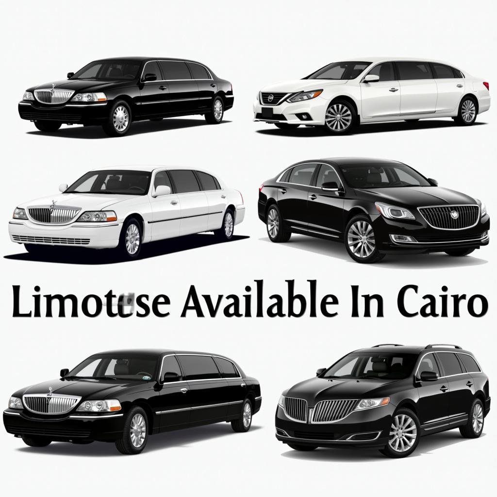 Cairo Limousine Fleet Options