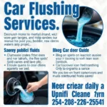 Car Flushing Poster Design Elements: Clear Messaging, High-Quality Images, Compelling Call to Action