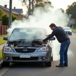 Car radiator overheating in Maddington, WA