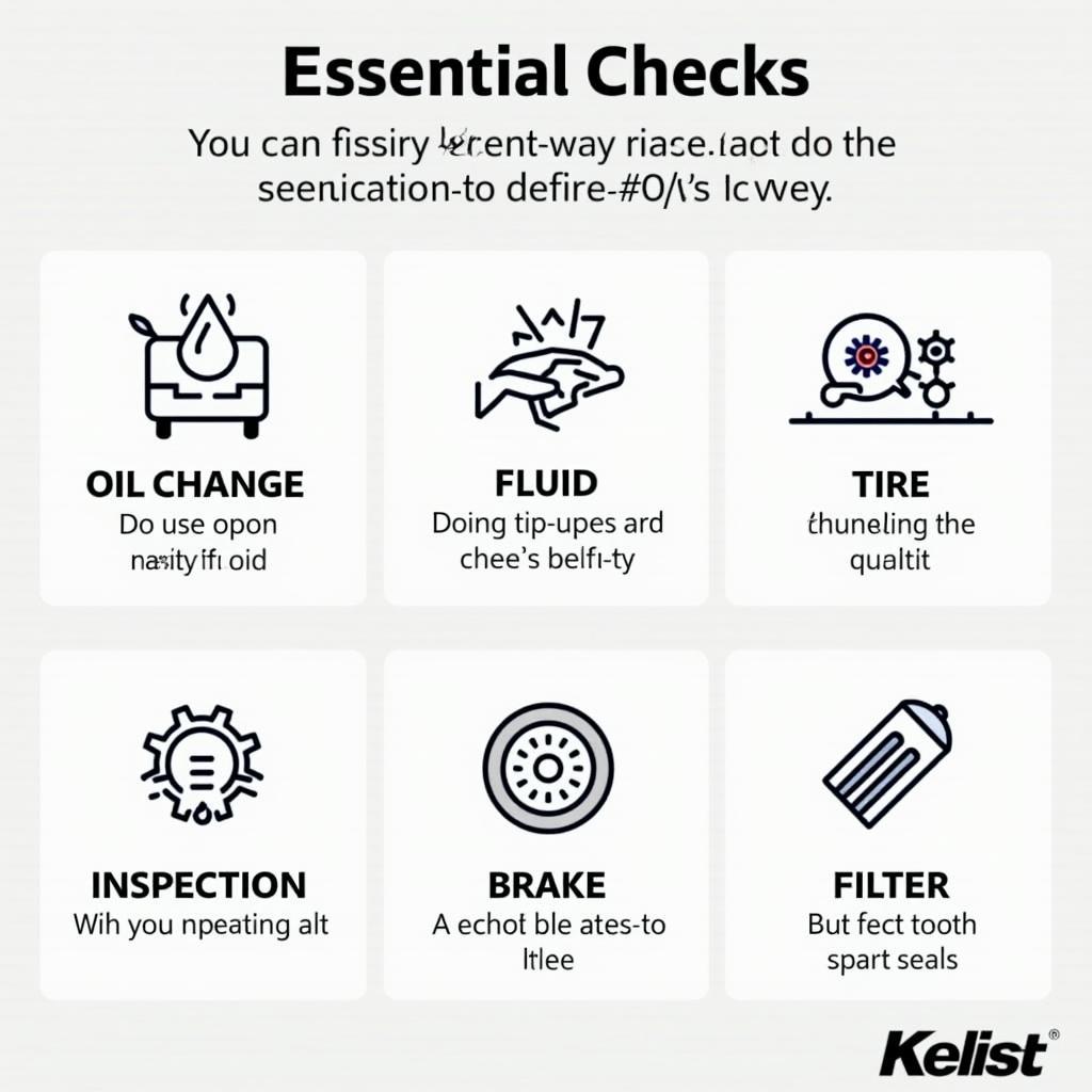 Car Service Essential Checks